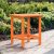 Tangerine