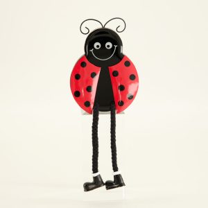 Ladybug Sitter - Boy
