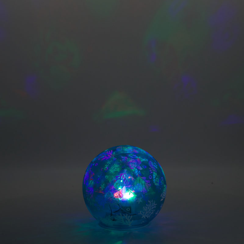 901931-2.jpg