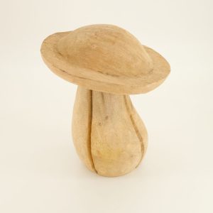 Large Wood Mushroom